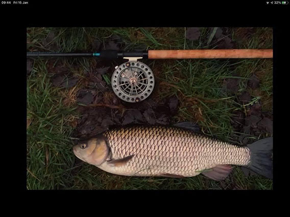 Chub caught on The River Test